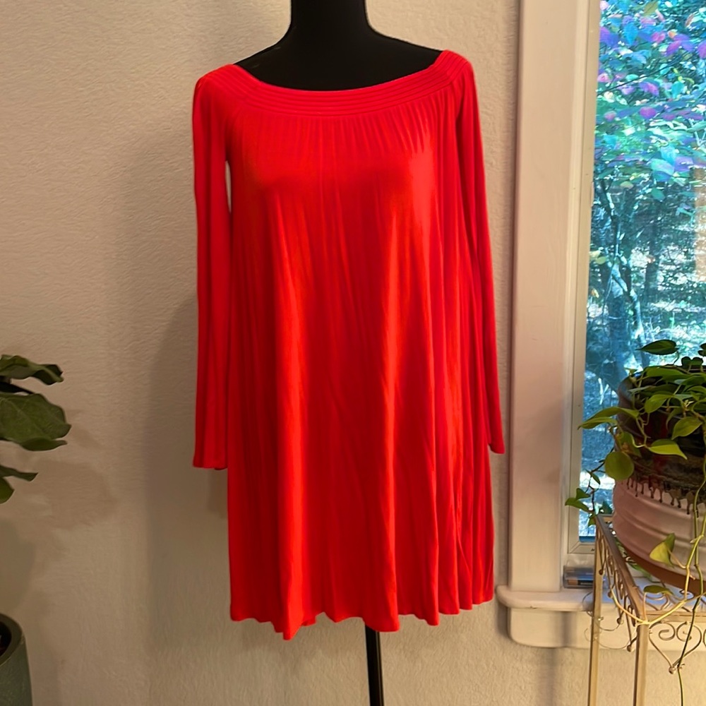 Express Dress - Picture 2 of 2